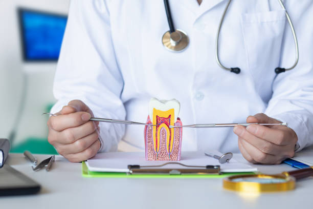 Best Emergency Treatment for Toothache in Terrell, TX